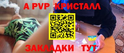 прущие грибы Тверь