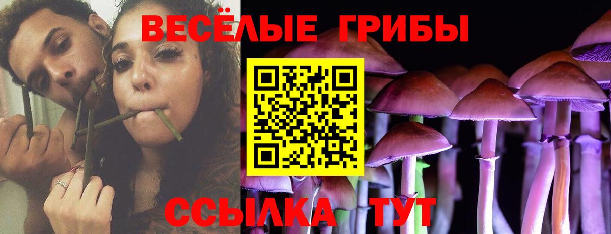 закладки  Галлюциногенные грибы прущие грибы  Псилоцибиновые грибы Psilocybine cubensis  Вход с VPN  Похвистнево 